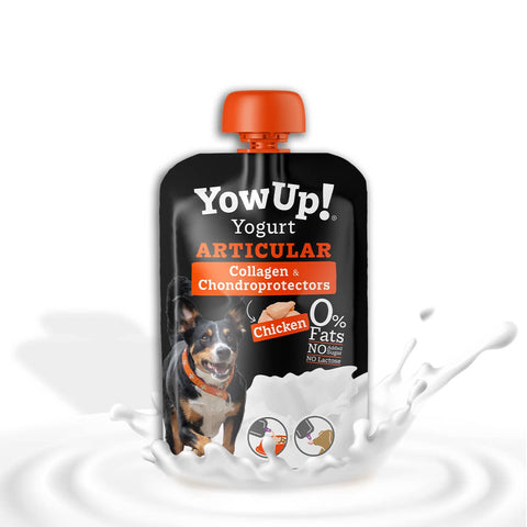 Yogurt Fit & Vital para perros sin lactosa