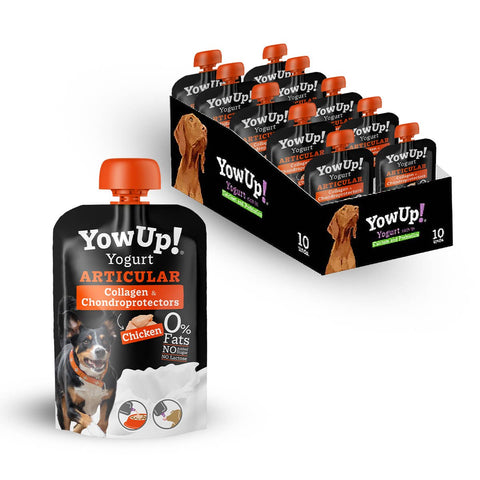 Yogurt Fit & Vital para perros sin lactosa
