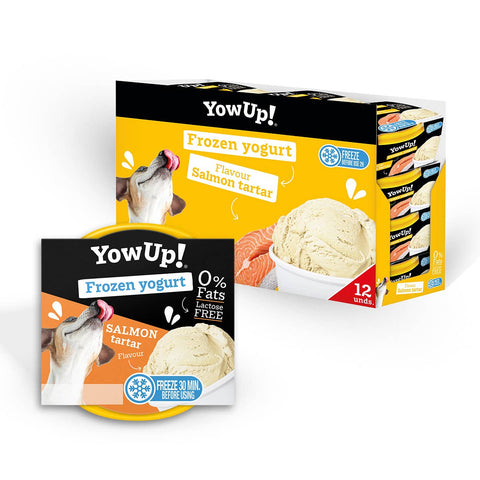 Helado de yogur para perros y gatos sabor tarta de salmón