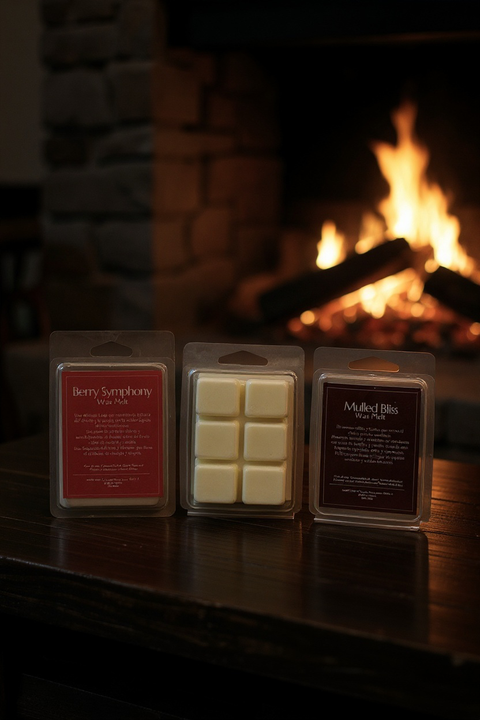 Pack 3 Wax Melts Home for Christmas